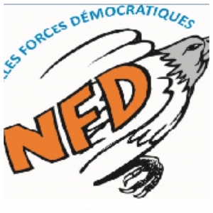 Logo NFd