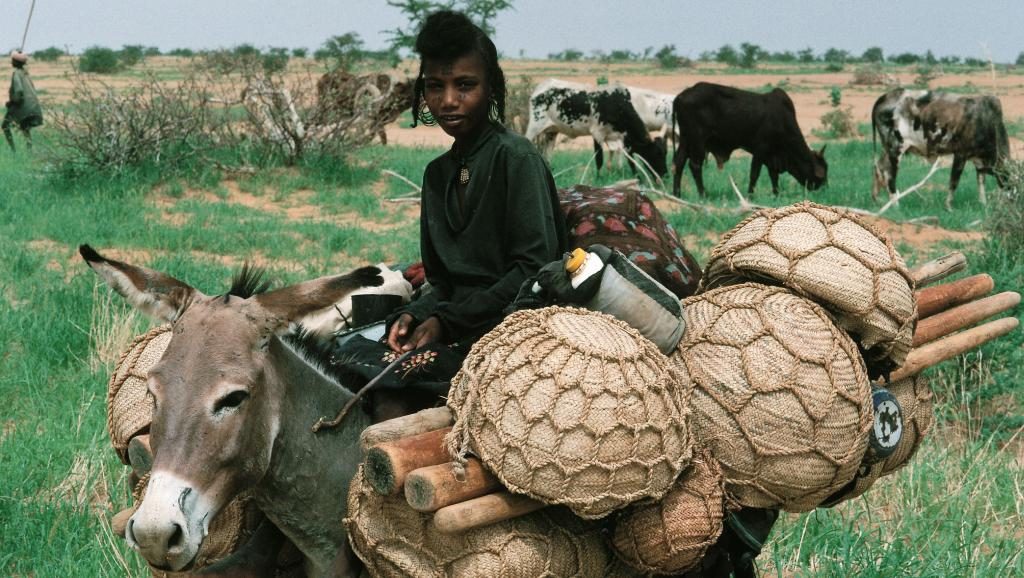 Attaque contre des Peuls au Niger: «des victimes innocentes se font massacrer»