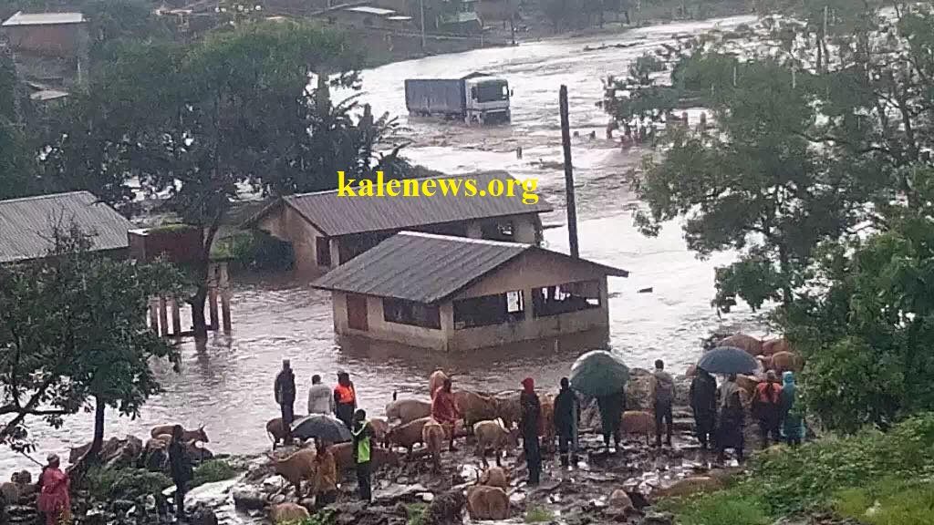 Guinée/Kindia : Inondation sur la route nationale, circulation paralysée