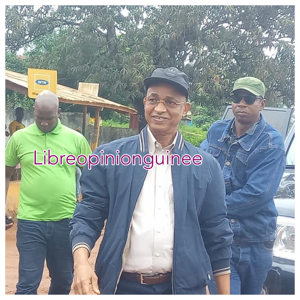 Cellou Dalein Diallo, président de l’UFDG