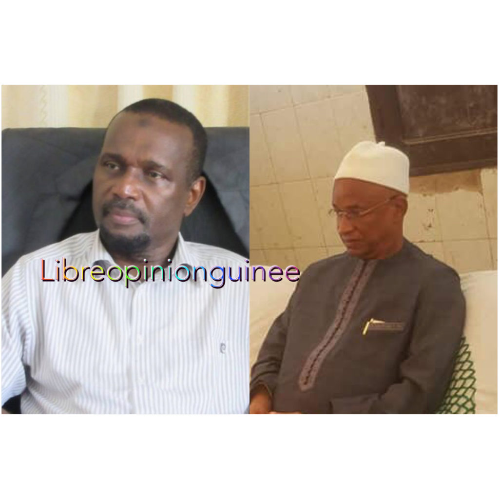 Aboubacar Sylla et Cellou Dalein Diallo