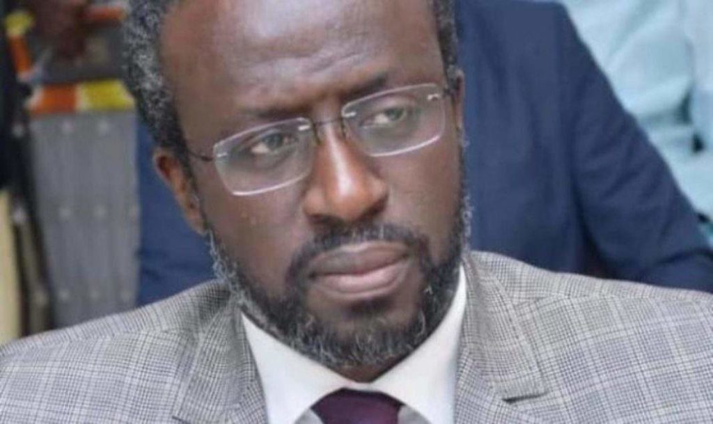 Coronavirus en Afrique : le Sénégal valide l’Artémesia et met au défi l’organisation mondiale de la santé (OMS)