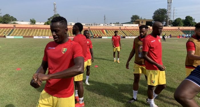 Syli national de Guinée