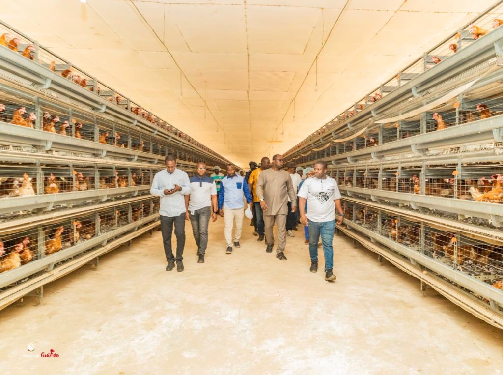 Dr Bernard Goumou visite une unité avicole à Bangouyah (Kouriah)