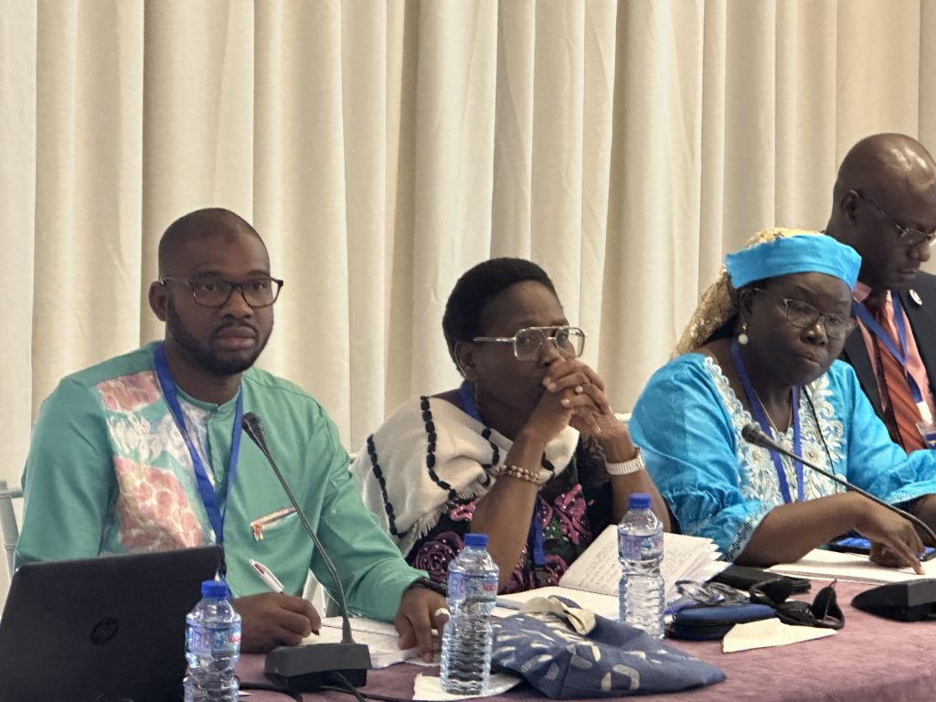 La Guinée et onze autres pays de l’Afrique de l’ouest réunis autour du développement de l’écosystèmes nationaux du volontariat (DENVA) à Lomé