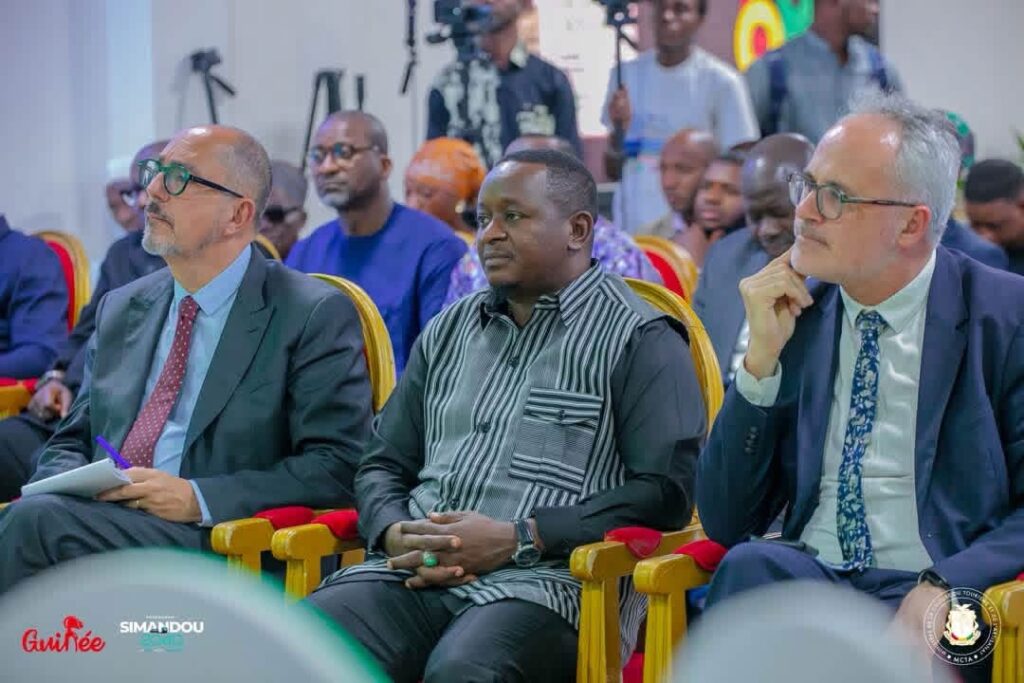 Restitution : Conakry et Paris dialoguent sur le calendrier du retour des restes des ancêtres et du patrimoine culturel guinéen